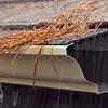 Gutter guards means no more clogged gutters